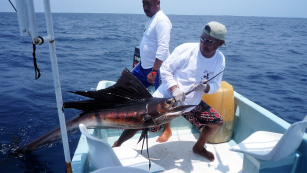 Tour de pesca deportiva en Huatulco Oaxaca