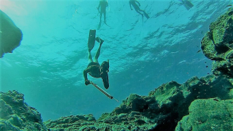 Pesca submarina con arpón Huatulco