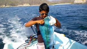 Fishing Huatulco Cost of Trip